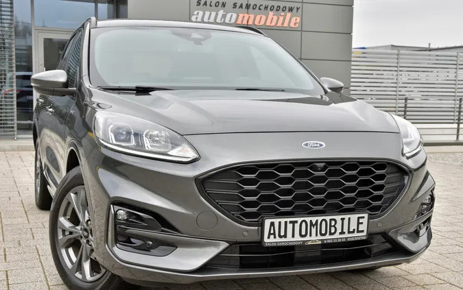 samochody osobowe Ford Kuga cena 134889 przebieg: 100000, rok produkcji 2020 z Miechów